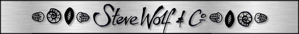 Steve Wolf Co Logo